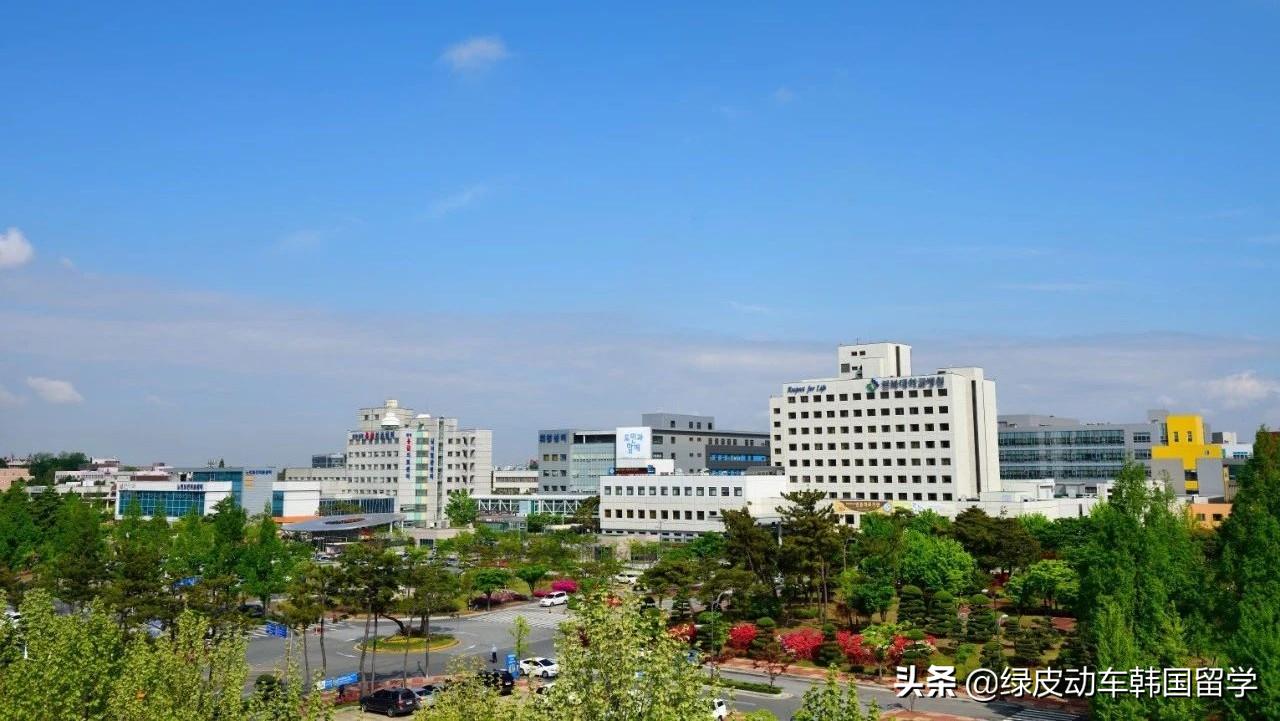 韩国国立大学传媒专业,韩国国立大学医学部排名