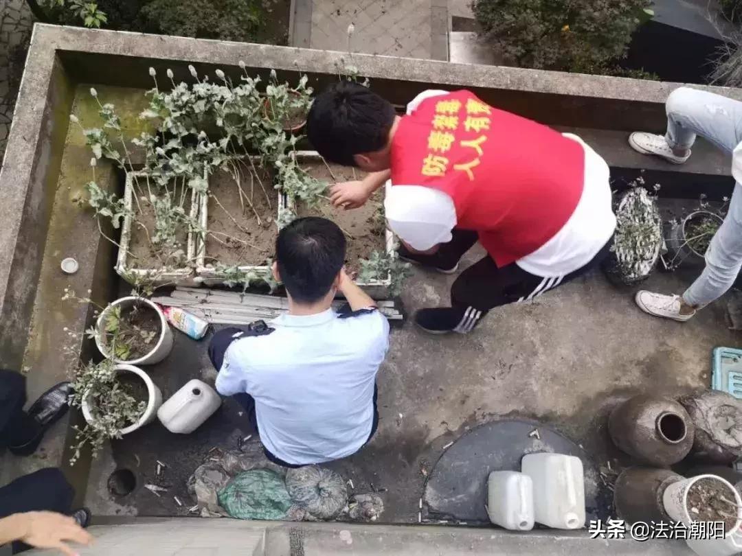 异想天开！竟然用这种方式治牙痛