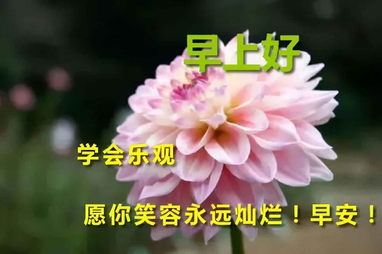 周一早上好祝福问候语最新版多图,周一早上好最新图片问候语