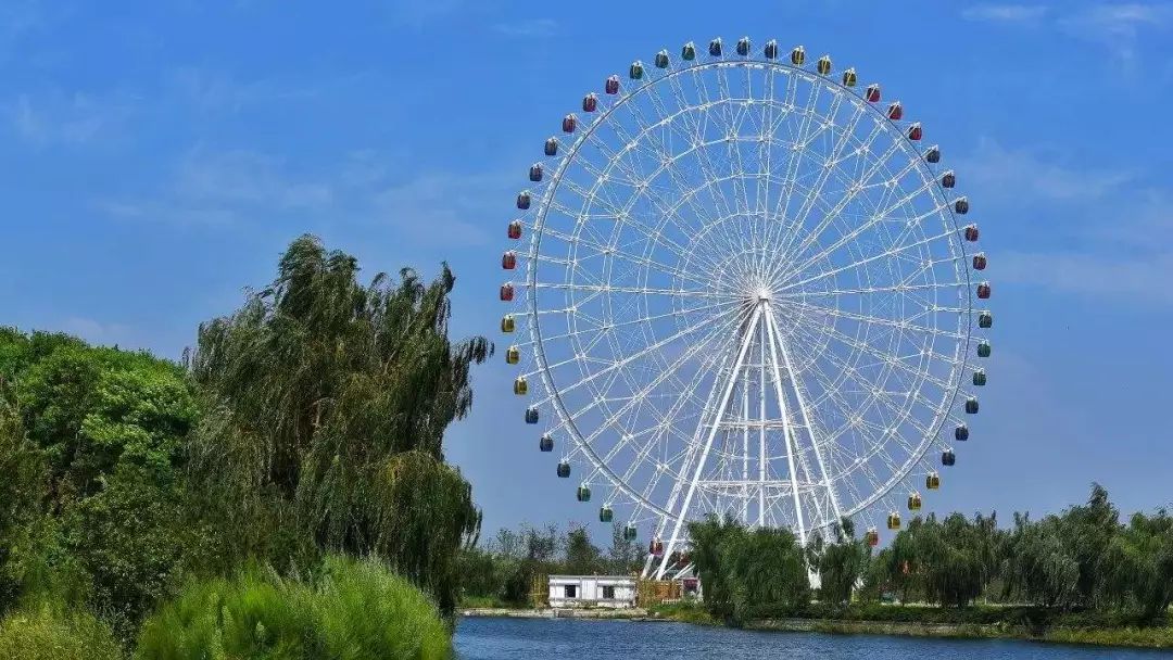 *安泰**赏花休闲婚拍就到泰山花海摩玛梦想城