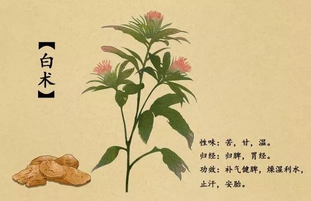 同型半胱氨酸17.5严重吗怎么办,血同型半胱氨酸29.4偏高怎么办