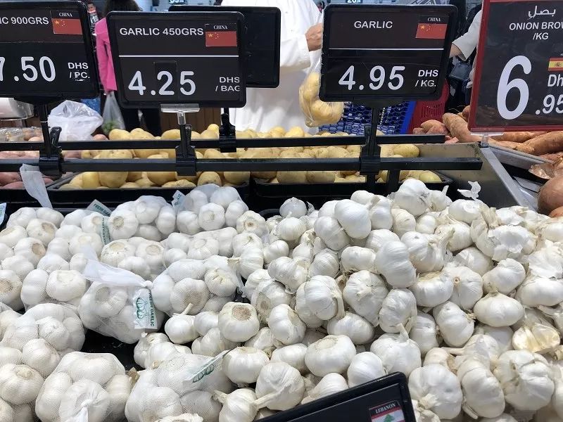 在迪拜怎么降低生活成本,迪拜一周生活成本多少钱