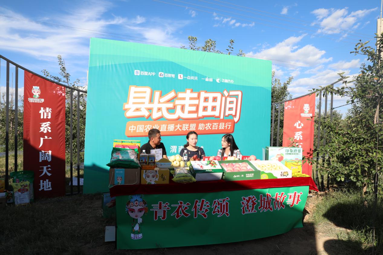 种植致富树,种植农民致富新路