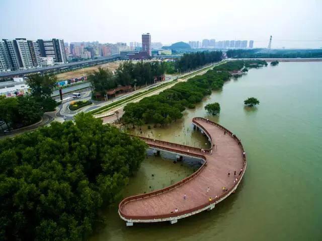 有哪些好玩的地方适合儿童深圳,深圳适合小朋友玩的8个免费景点