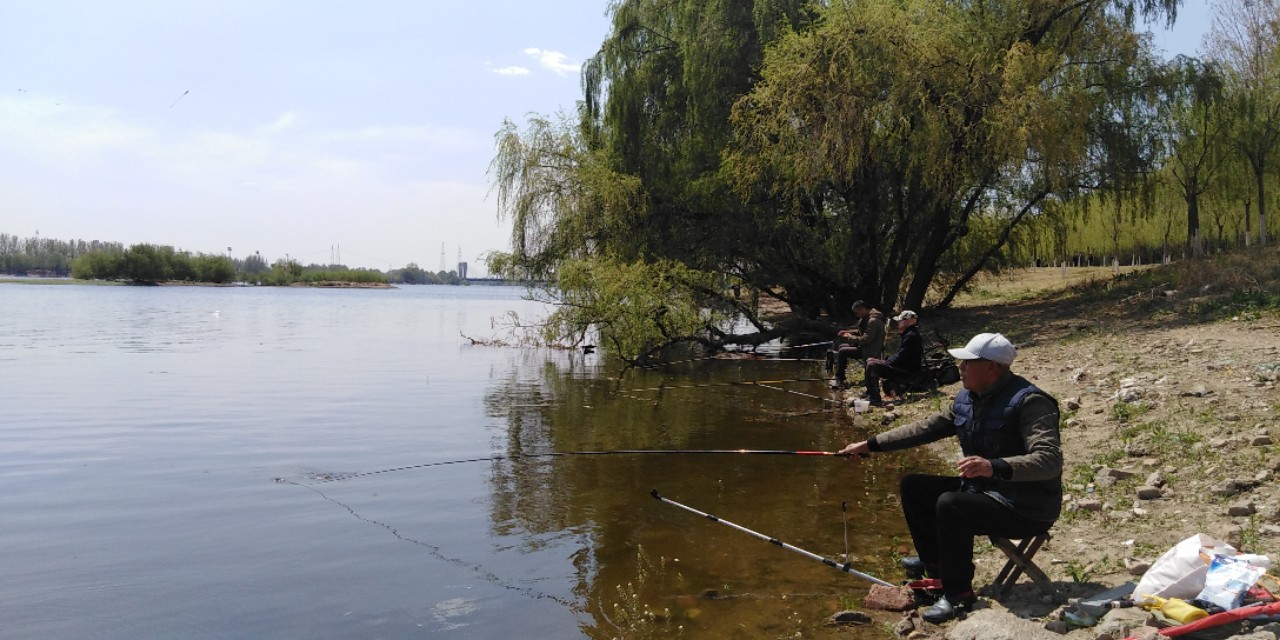 沈阳长白岛森林公园一日游攻略,长白岛森林公园五一