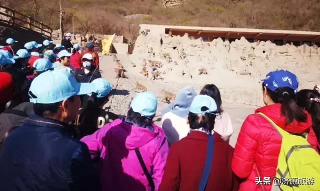 春暖花开踏青热，五龙口景区迎来春游小高峰！
