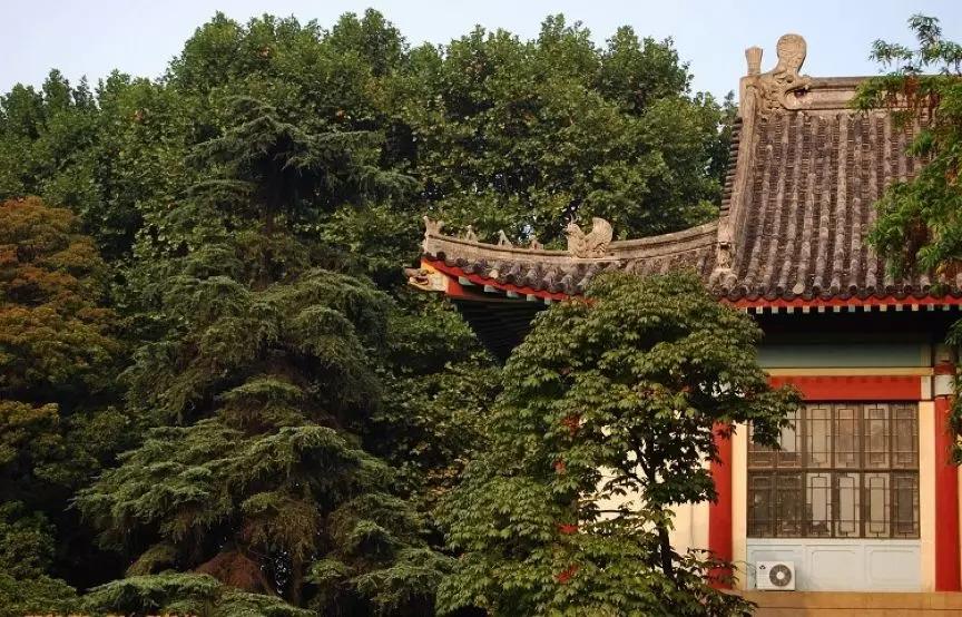 在南京师范大学就读是一种什么体验？