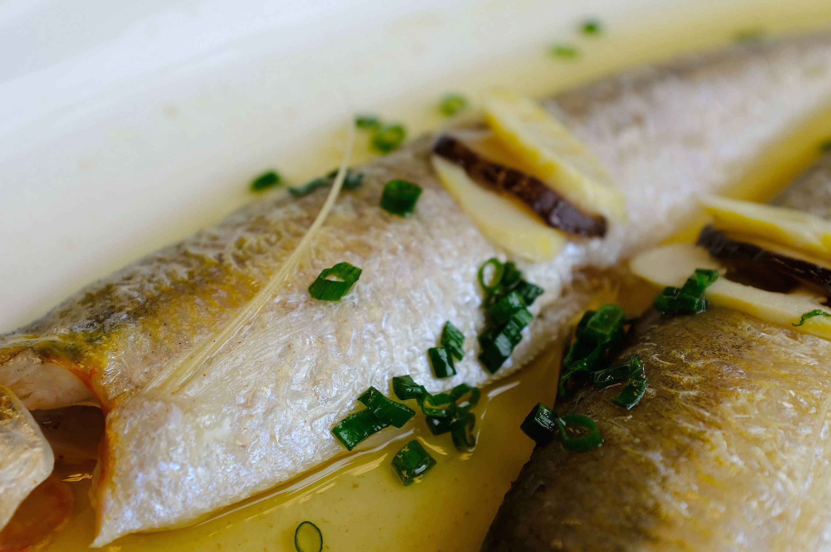 地方清明时节特色美食,清明各地方美食