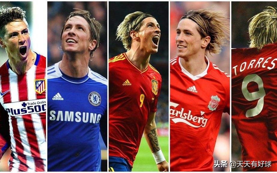 费尔南多托雷斯个人资料,费尔南多托雷斯经典时刻