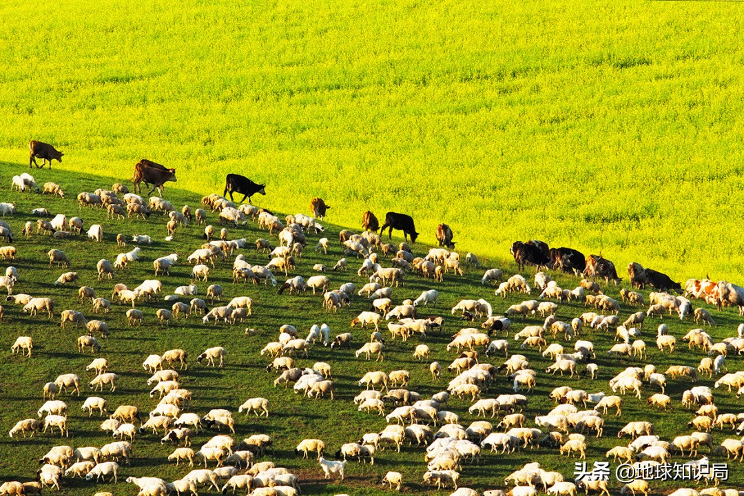 取一个好听的蒙古族名字,蒙古族名字怎么起
