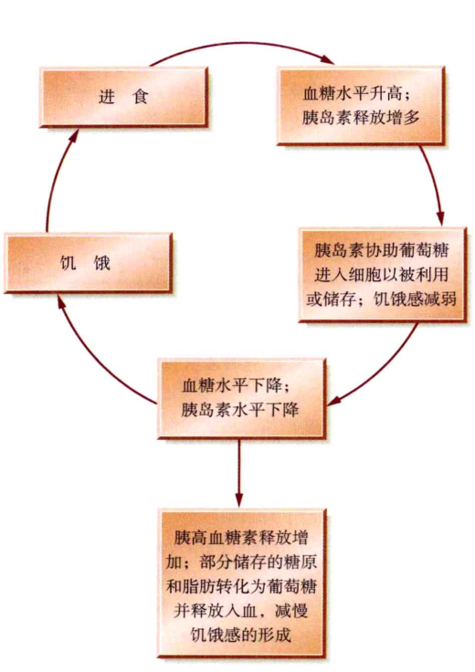 心理学的生物学基础知识,生物心理学知识书籍