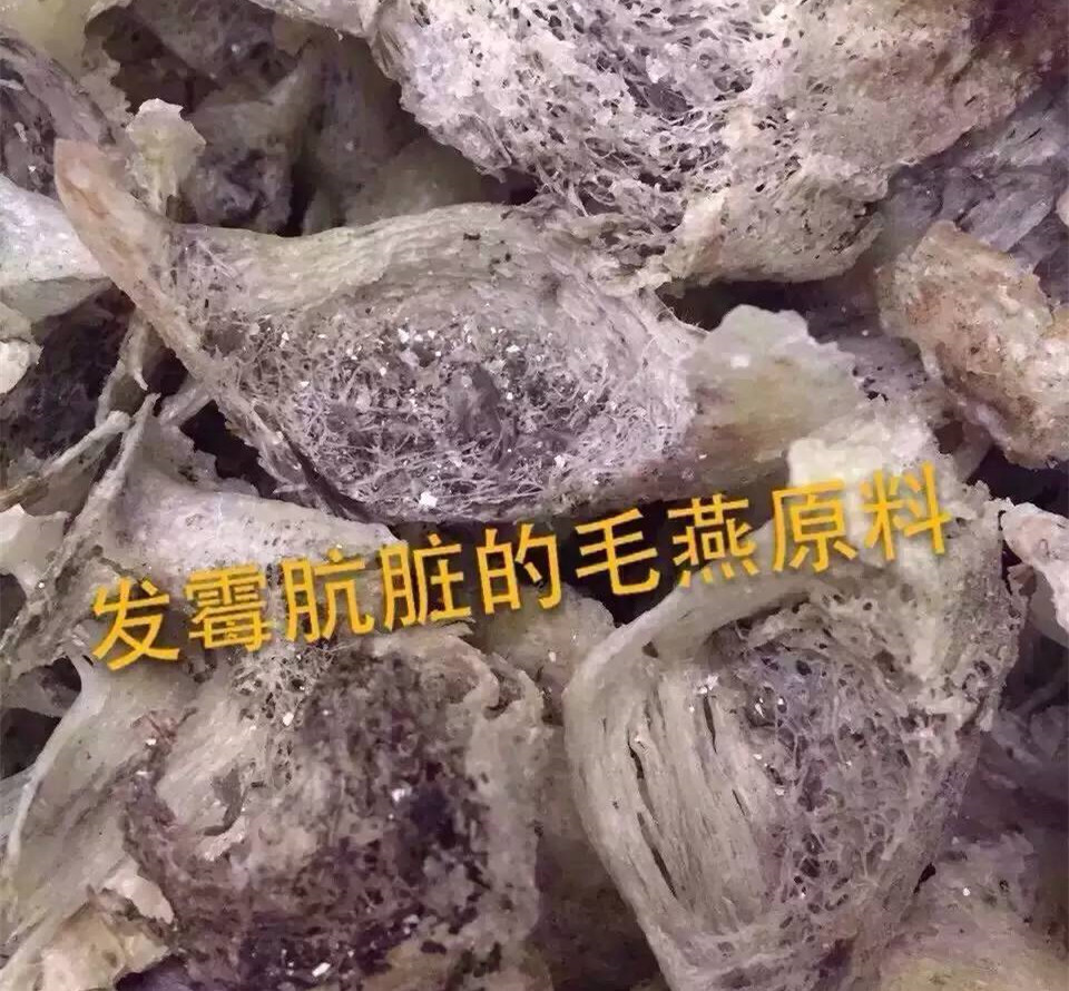 真假燕窝的快速鉴别方法,燕窝造假现场