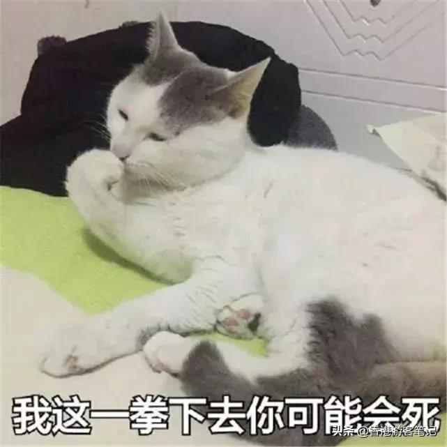 涂mac嘴巴辣,涂mac小辣椒的美女