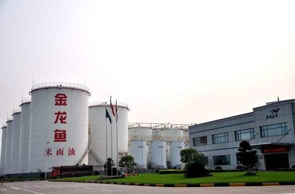 国产食用油十大品牌,中国十大食用油厂排名