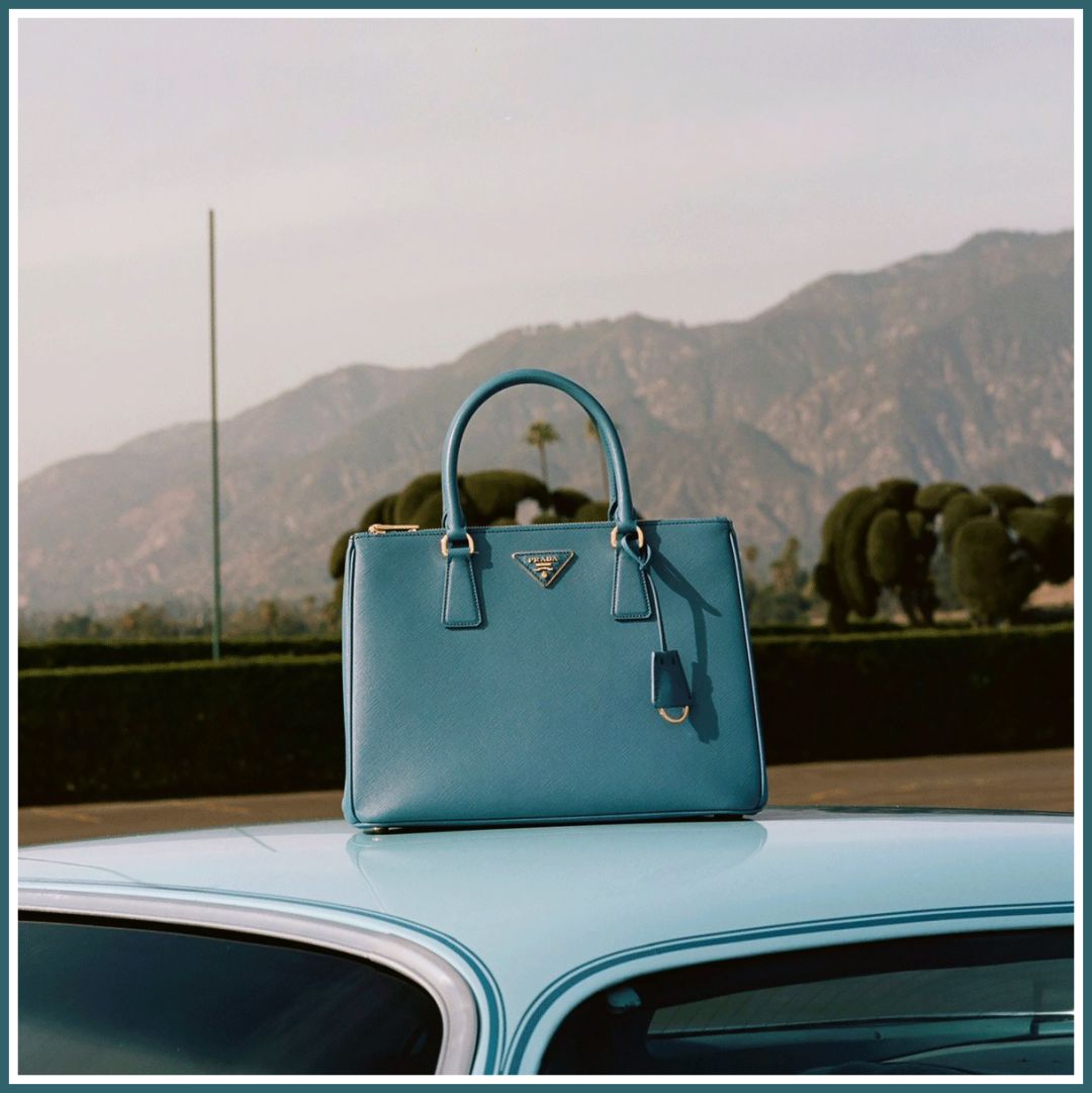 苏家女人买的包，都够买一套房了吧？