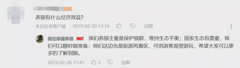 养狼disco：我在*疆新**，把狼养成了哈士奇