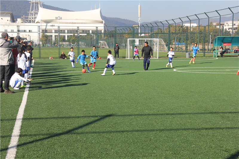 t6出行有八座吗,t6出行图片