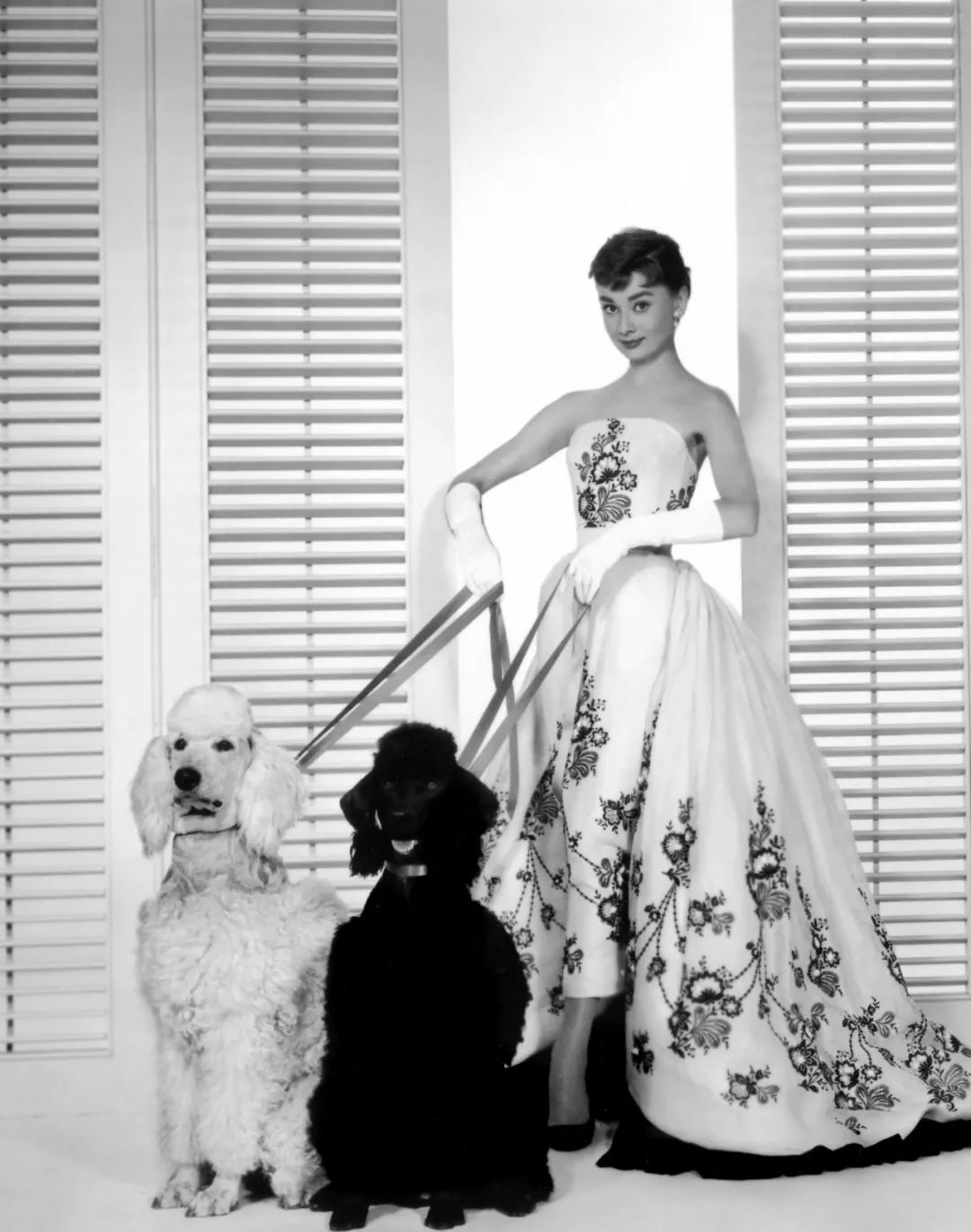 李宇春代言纪梵希成衣震惊时尚圈,纪梵希明星四色散粉正品