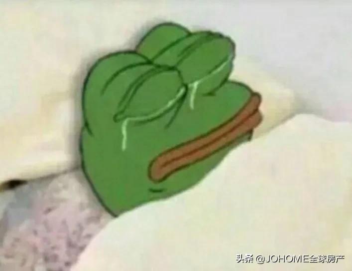 中国留学生比武,第一届留学生飞猪大赛