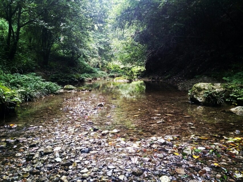 汉江源头在啥地方,汉江的源头和尽头在哪里