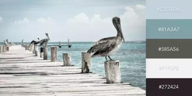 999张图片视频的卡点模板,服装设计素材收集与整理