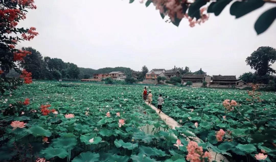 下一站联合电子,下一站同行