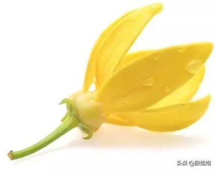 缓解心跳过快的药,缓解心跳加速胸闷