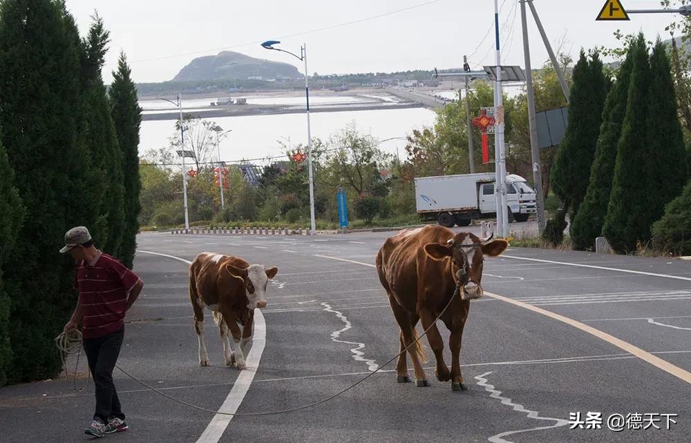 山东三天自驾游景点,田横岛自驾游景点