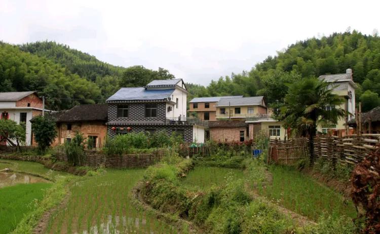 鐣呮父榛勬睙,榛勬睙鐣呮父涓浗