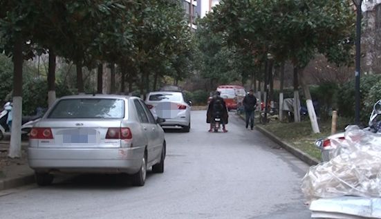 小区业主自己搞绿化,小区业主自己动手