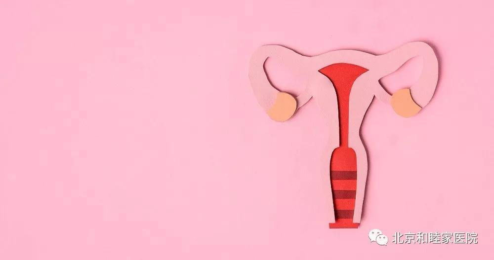 阴道炎传染给伴侣有何症状,阴道炎传染给伴侣会有什么症状