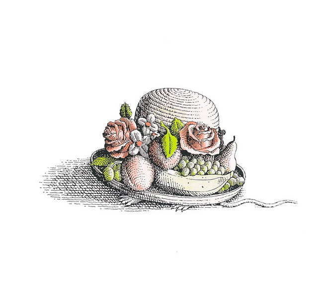 推荐一本关于动物的书,绘本有意思的书