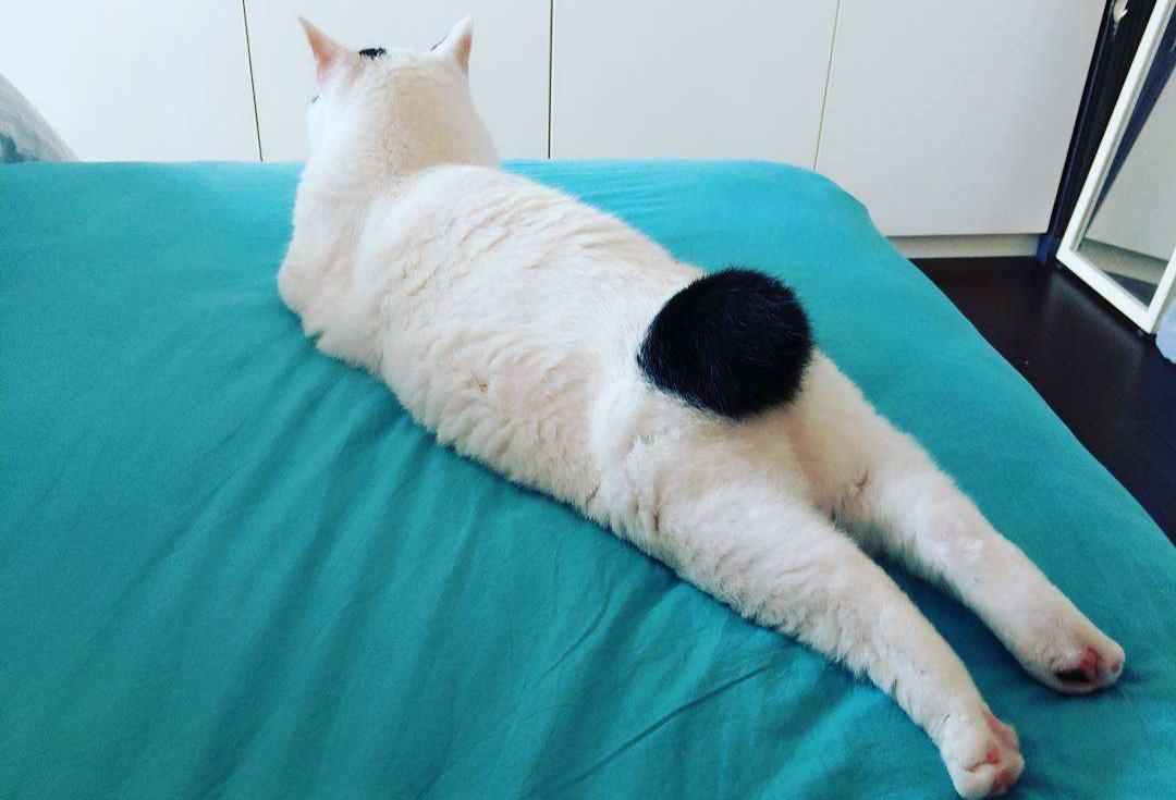 屁股变黑了是怎么回事,为什么屁股肤色发黑