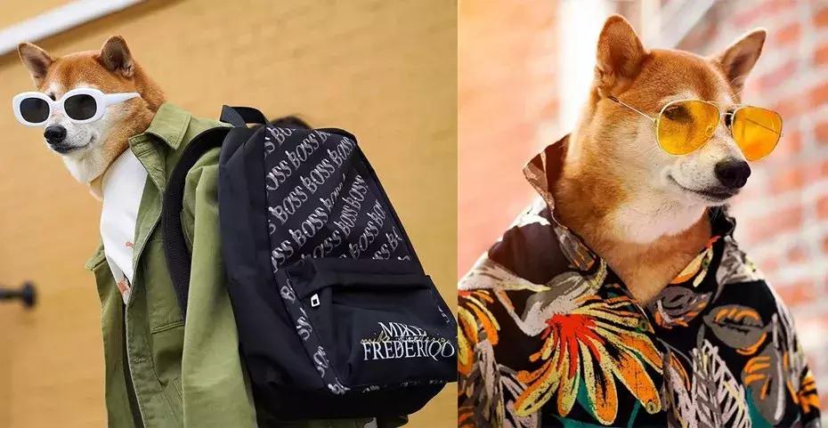 gucci和supreme联名马丁靴,guccisupreme鞋子