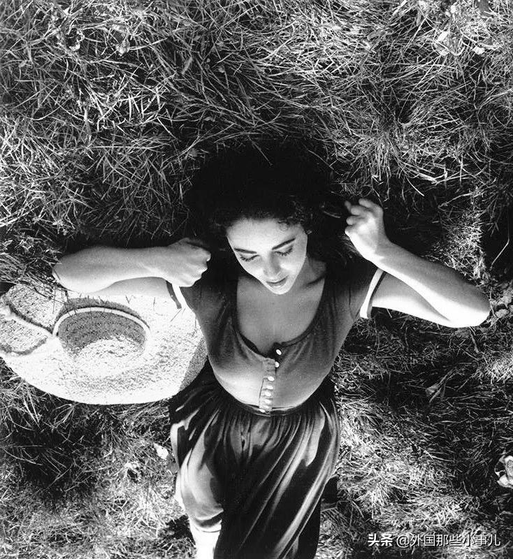 伊丽莎白·泰勒传奇一生,伊丽莎白泰勒一生八段婚姻