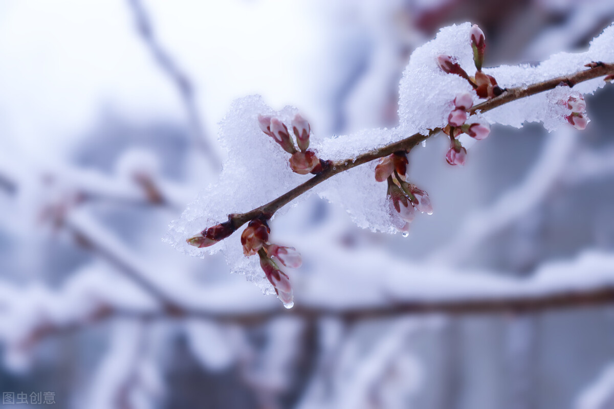 北京下雪了描写雪景最美的短诗,描写北京雪景诗词最美十首