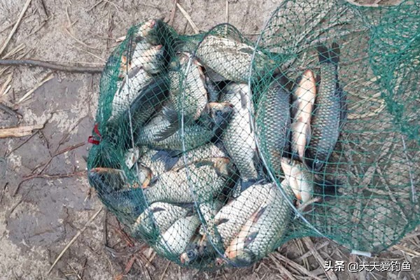 早冬钓鱼用什么饵最好,冬天钓鱼找底的简单方法