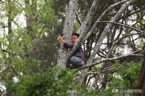 你不知道的国家冷知识——“黑人中的白人”埃塞俄比亚