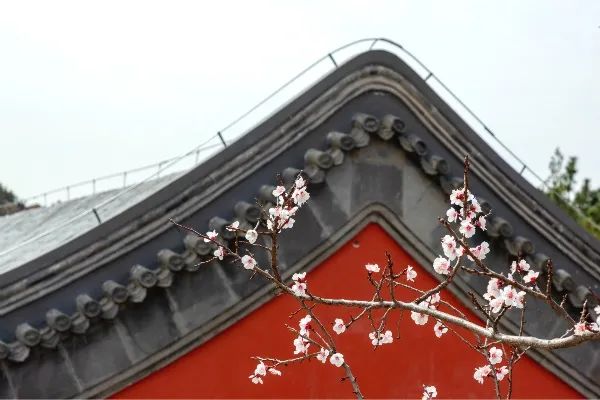 青岛西海岸啤酒节攻略,青岛西海岸周末去哪玩