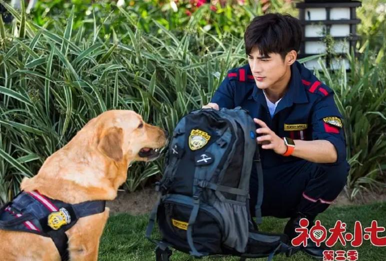 姜潮麦迪娜在婆婆面前秀恩爱,姜潮妈妈和麦迪娜的婆婆