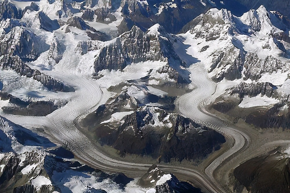 昆仑山飘下来的雪歌曲,昆仑山的白雪莲
