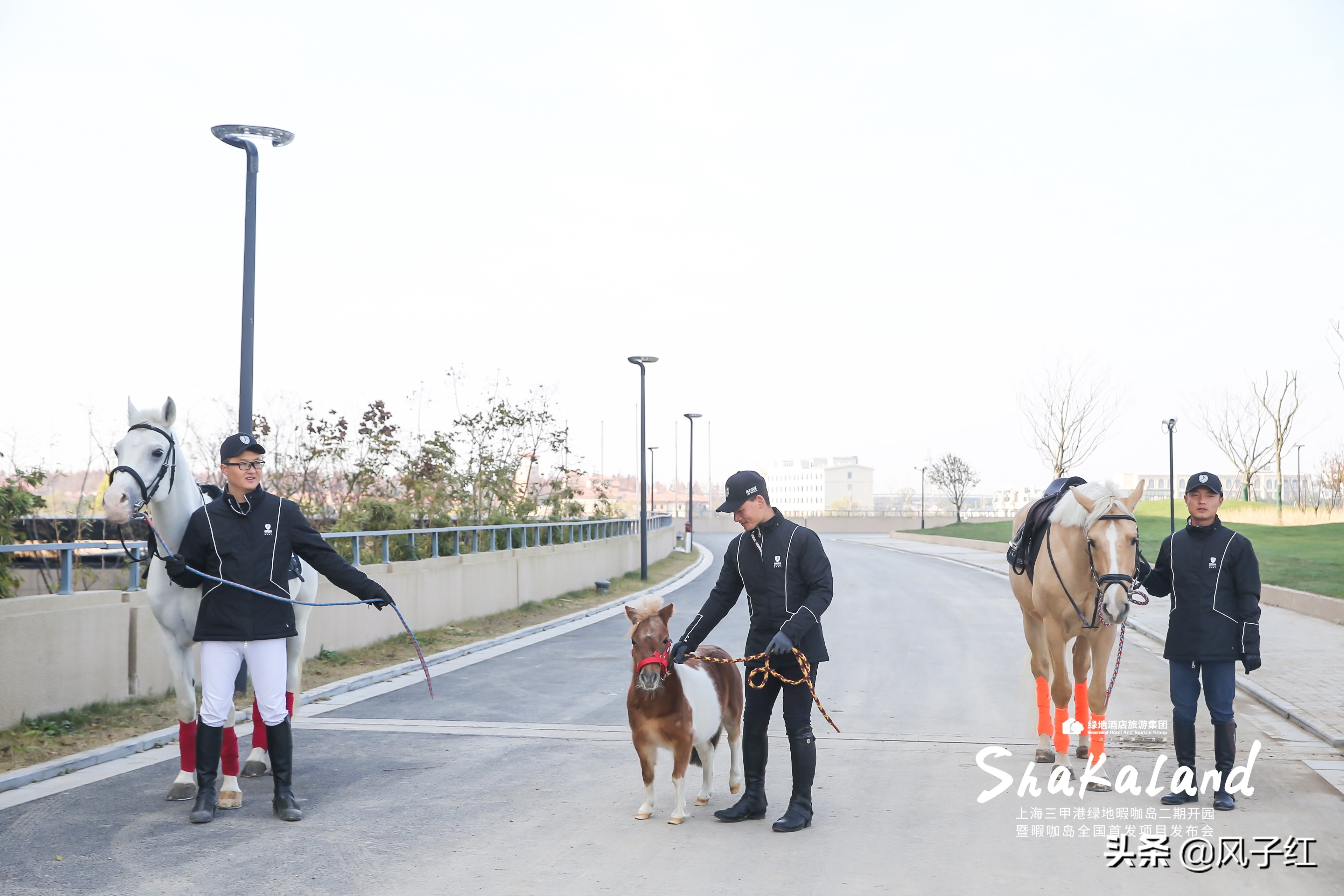 上海周边最好的度假村,为什么说上海没有海