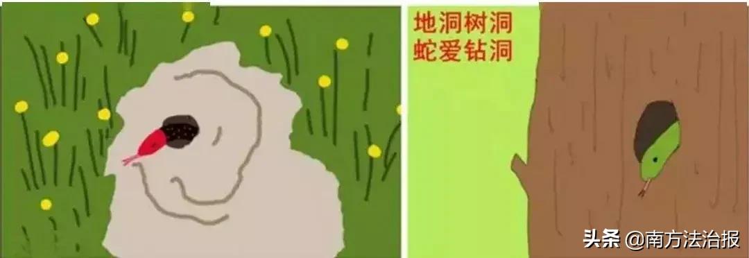 幼儿园里的神秘怪物,超吓人幼儿园