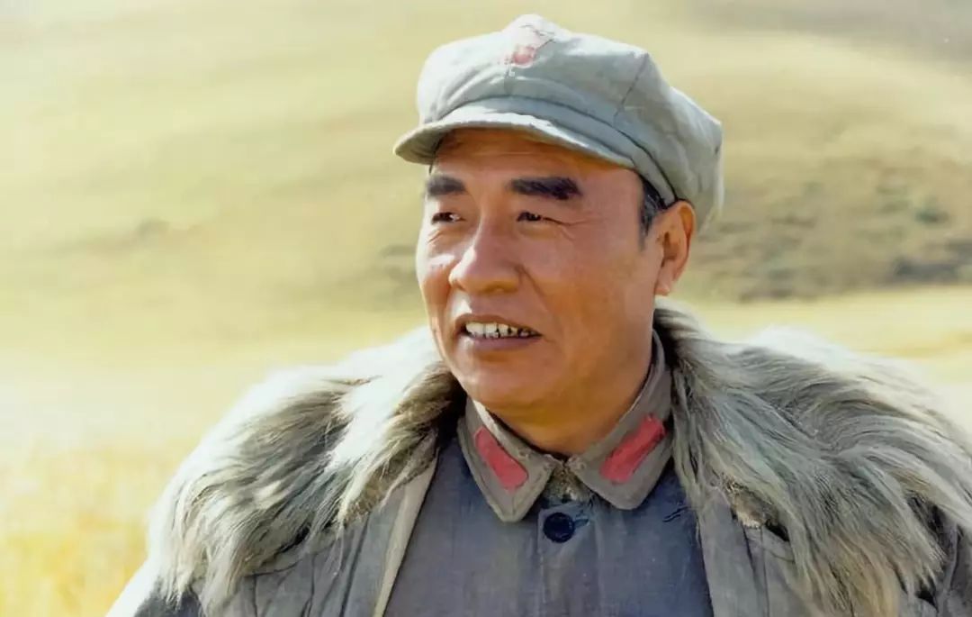 演过伟人和十大元帅的演员,扮演十大元帅的特型演员照片
