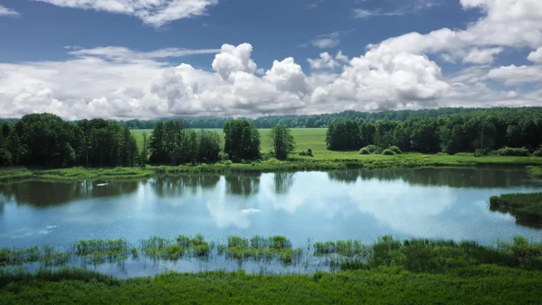 德国hipp喜宝奶粉怎么样,德国hipp喜宝润唇膏