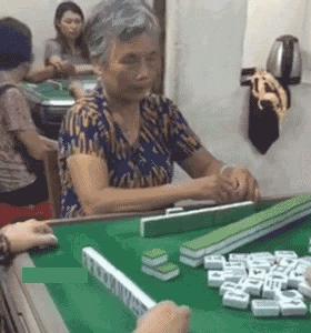 比瑞吉有新产品吗,比瑞吉猫粮和渴望猫粮区别