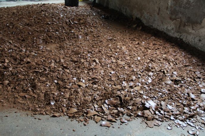 饼肥可以直接施吗,饼肥怎么快速腐熟