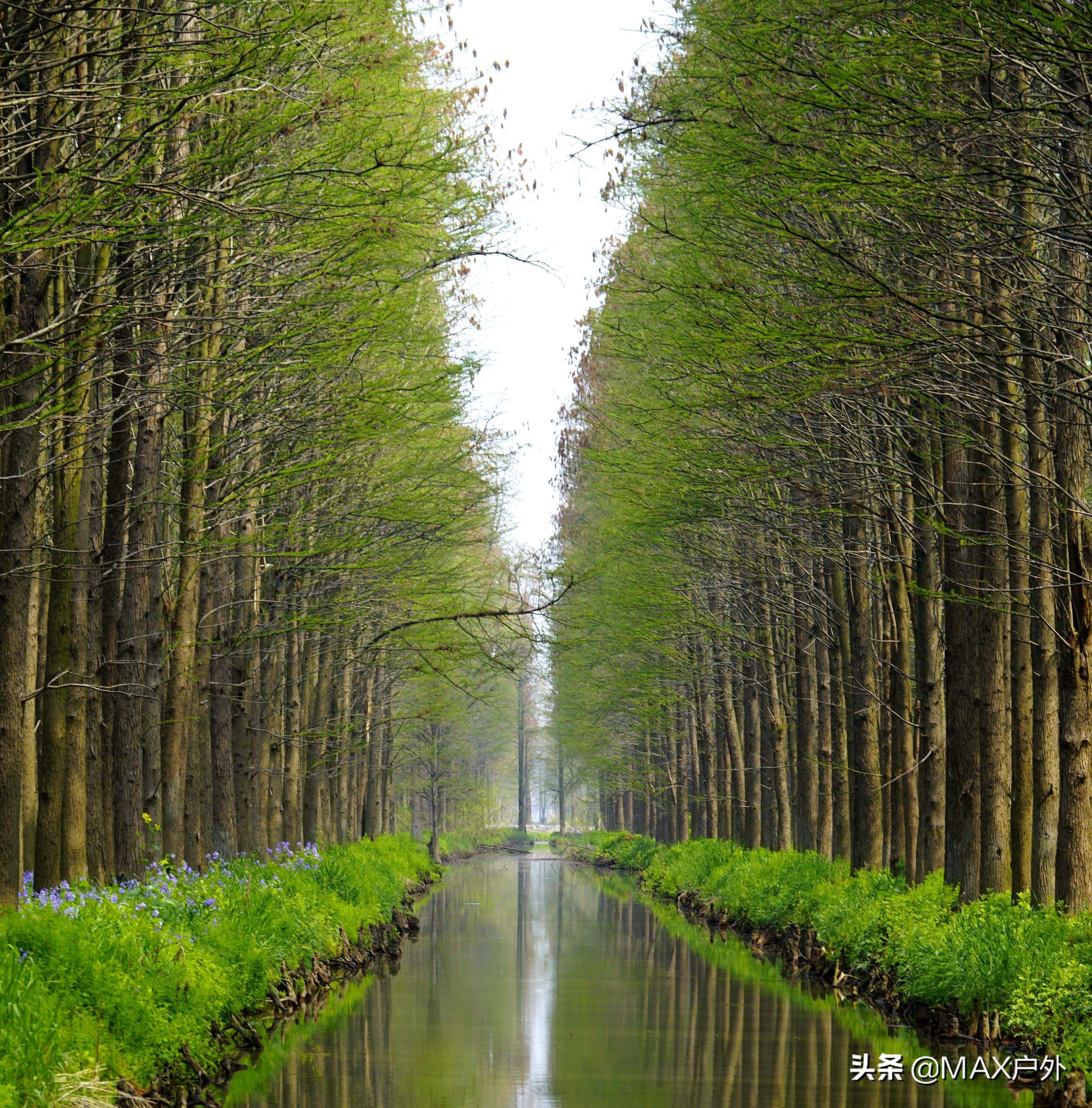 开启你的天然氧吧洗肺之旅,富氧洗肺好去处