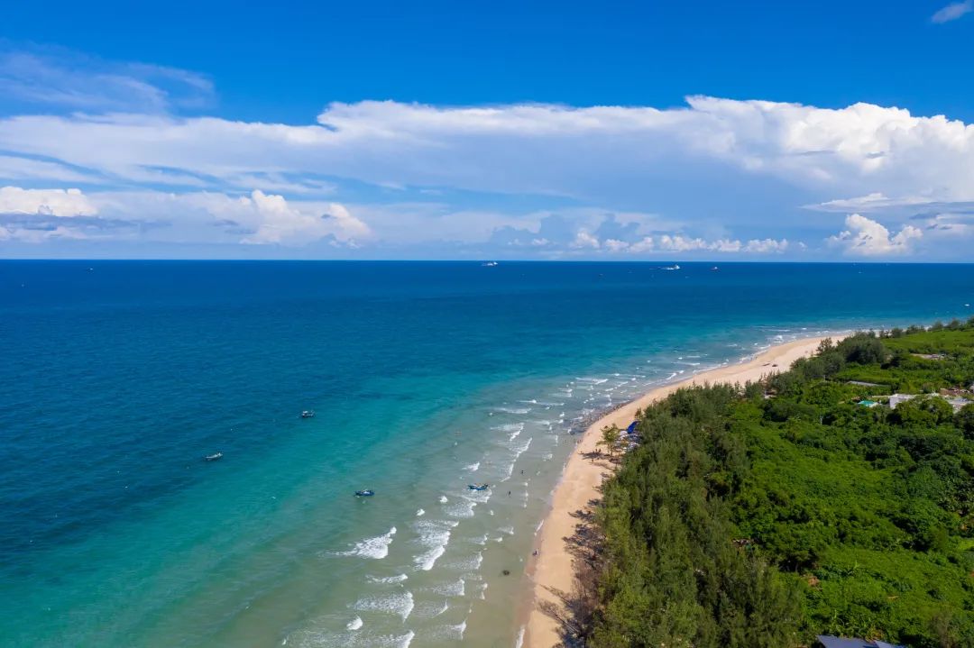 1011月错过它们,等于错过整个秋天!人少清净,随手一拍都是大片