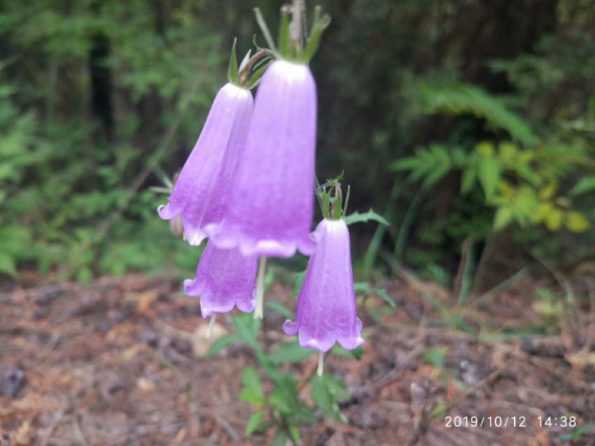 把生活过成自己喜欢的样子（原创）——我的平淡生活系列之97